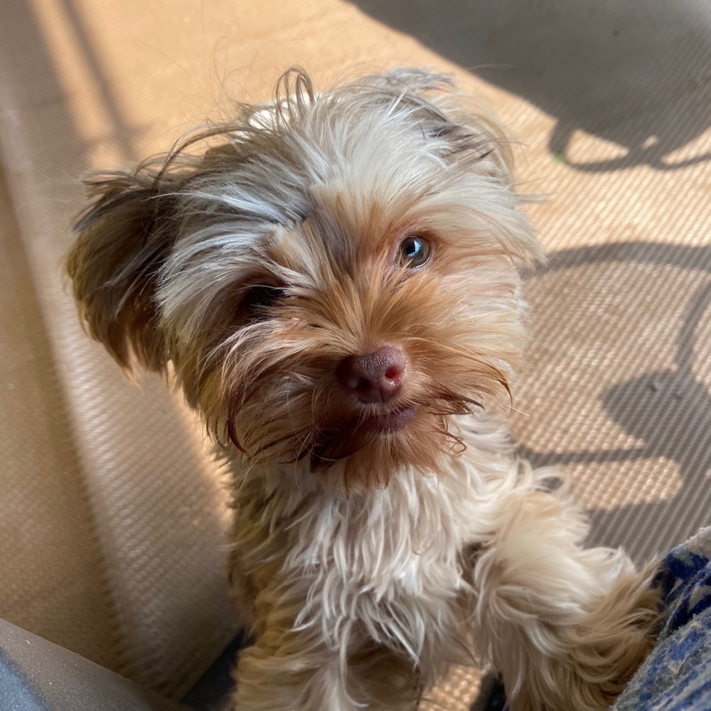 Meet your Posher, Mary